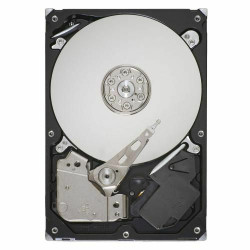 Dell 250GB 7.2K 3.5 SATA 3G ST3250310NS Reference: CX424 [Refurbished]