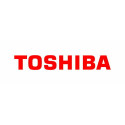 Toshiba LCD TFT 17.3COMPLETE Reference: P000643080